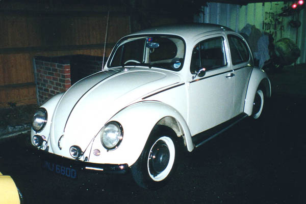 Spawny Whippet Volkswagon Spawny Whippet Volkswagon